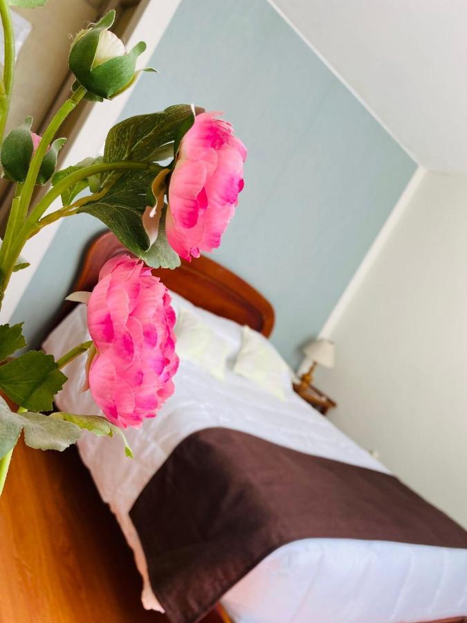 Hotel Helena De Santa Maria Arequipa Exteriér fotografie